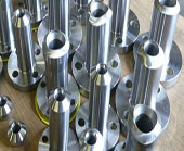 Stainless Steel Nipo Flanges